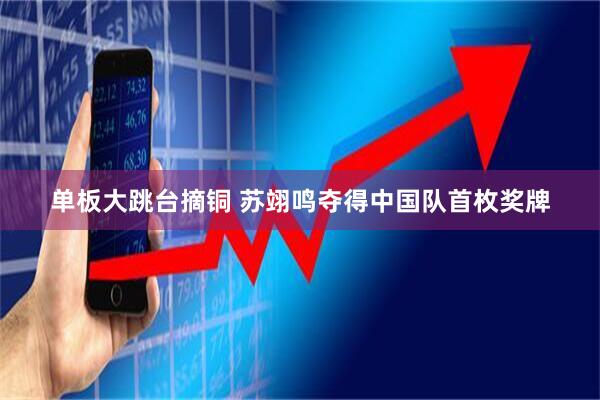单板大跳台摘铜 苏翊鸣夺得中国队首枚奖牌
