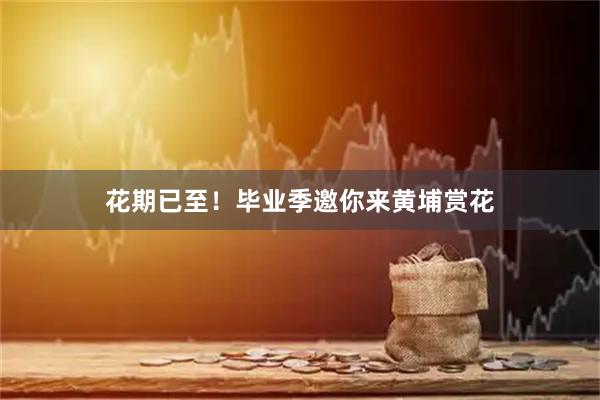 花期已至！毕业季邀你来黄埔赏花